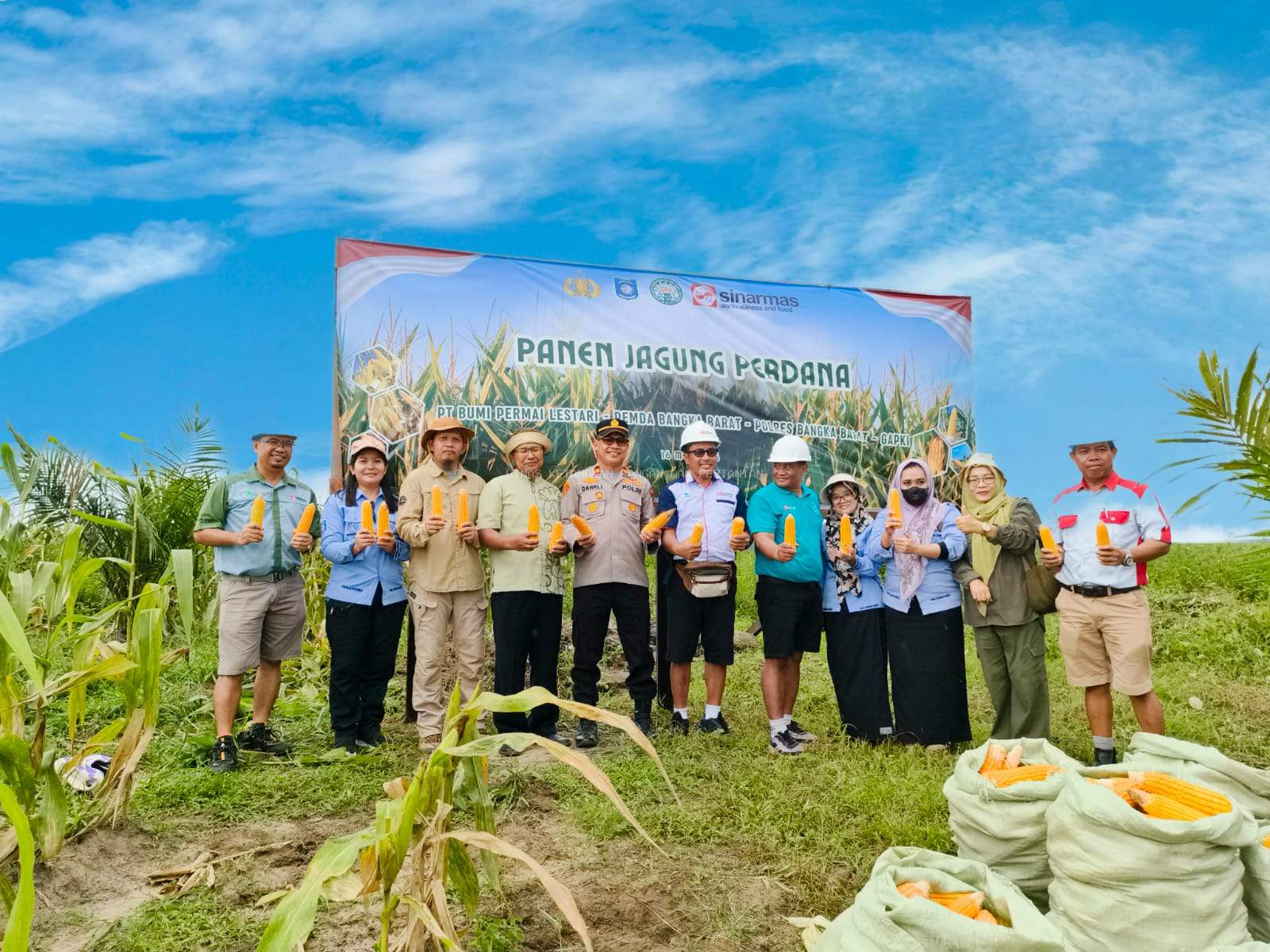 PANEN PERDANA JAGUNG PIPIL DI LAHAN TUMPANGSARI PT BPL, DUKUNG PROGRAM SWASEMBADA PANGAN 2025