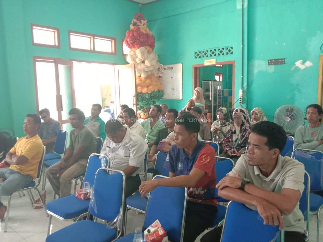 Perkuat Perkebunan Rakyat, DKPP Bangka Barat Sosialisasikan PSR dan Sarpras Perkebunan