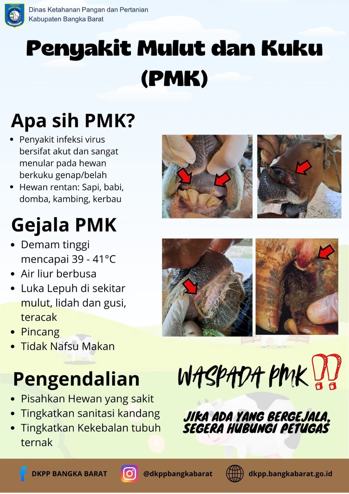 Penyakit Mulut dan Kuku